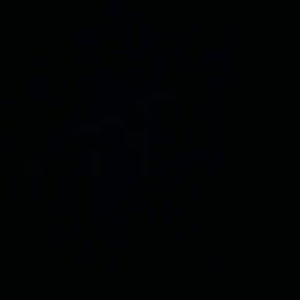 Meet your Posher, Mackenzie